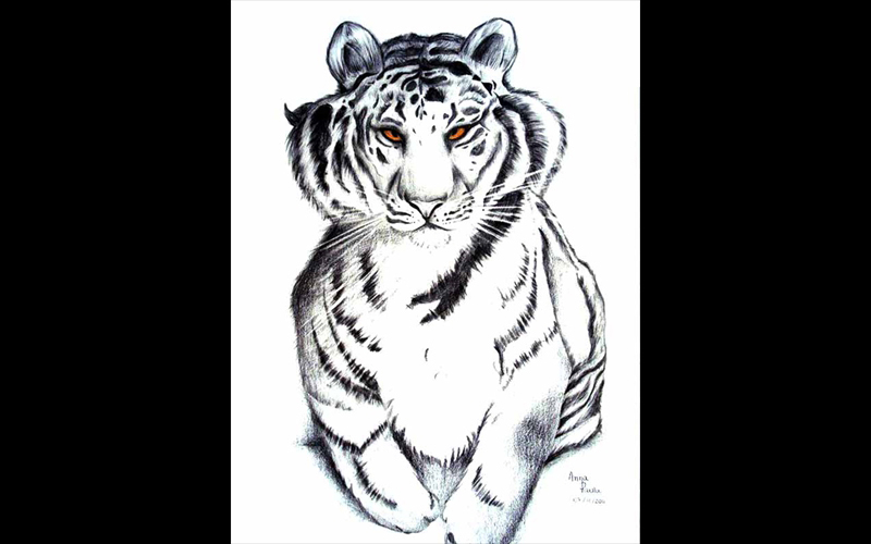 Anna Paula de Souza Silva Anna Paula de Souza Silva