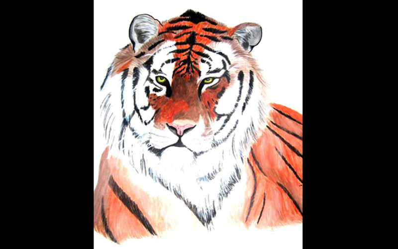 Amanda Nainá Amanda Nainá