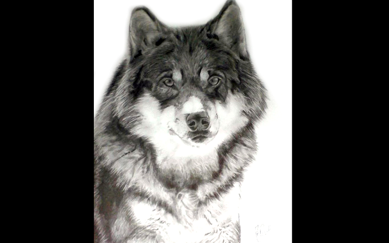 Alexandre Pinson Alexandre Pinson