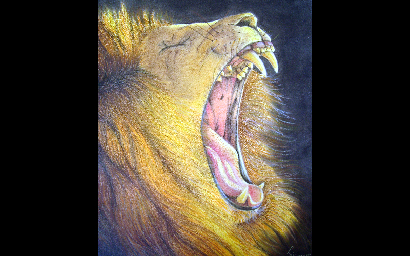 Liliane Alfonso Liliane Alfonso