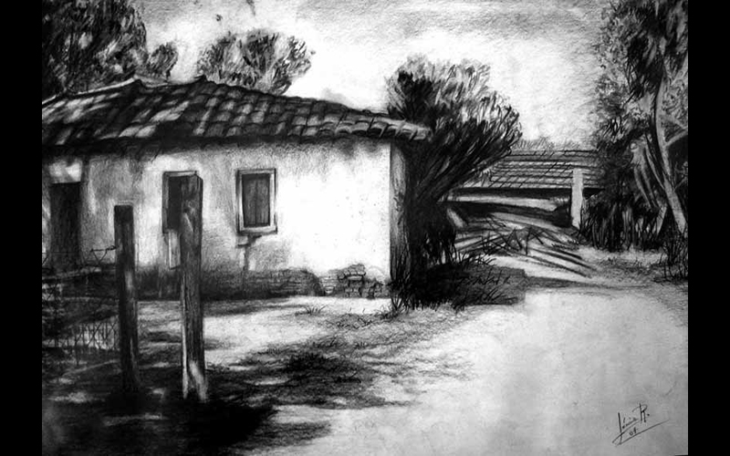 Lucia Ricobello Lucia Ricobello