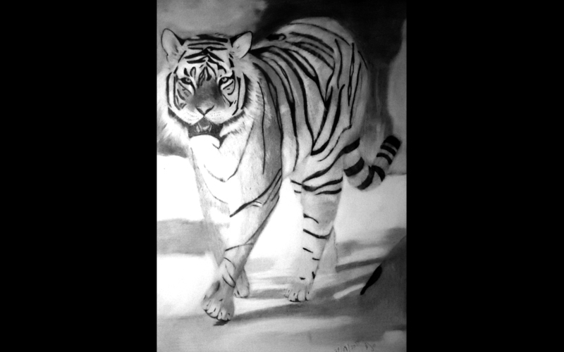 Iris Cristina Cogo Iris Cristina Cogo