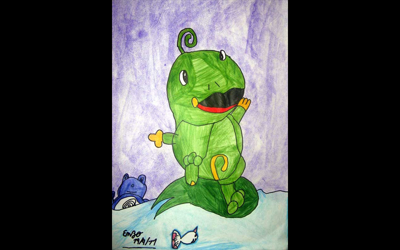 Enzo Stella Carvalho